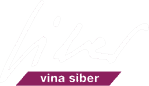 Vina Siber logo