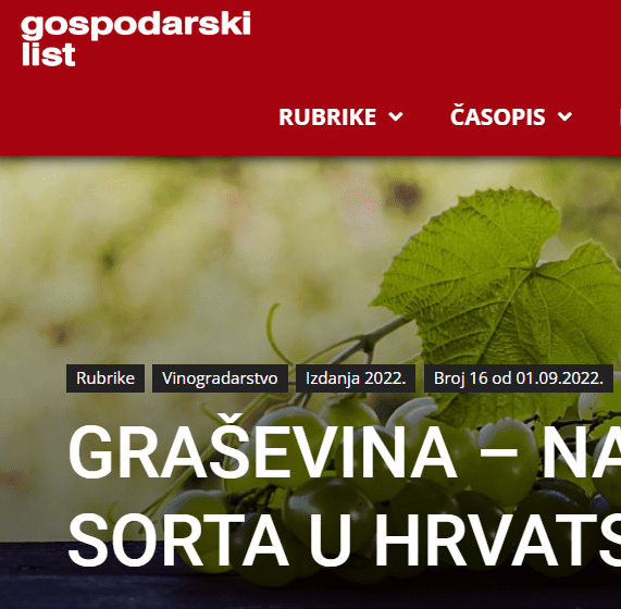 Graševina – najvažnija vinska sorta u Hrvatskoj